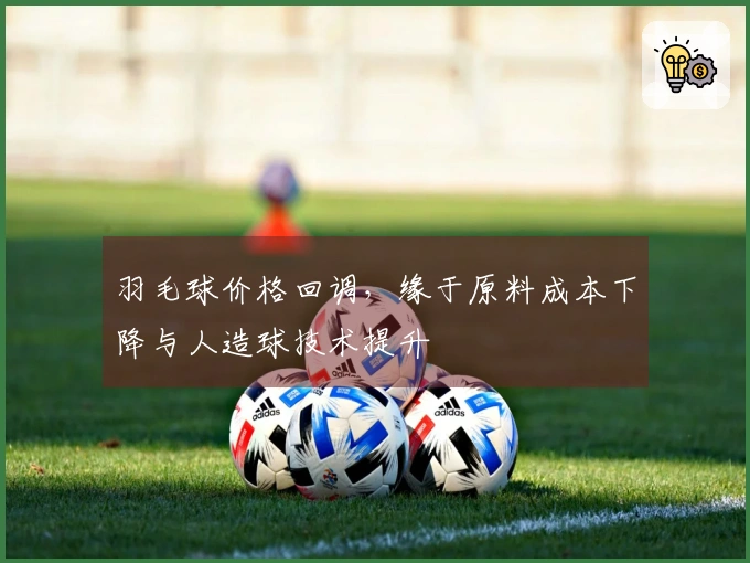 羽毛球价格回调，缘于原料成本下降与人造球技术提升