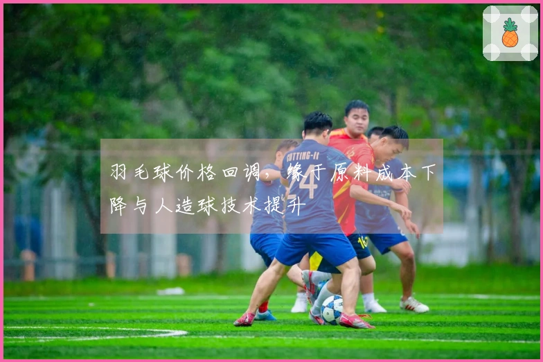 羽毛球价格回调，缘于原料成本下降与人造球技术提升