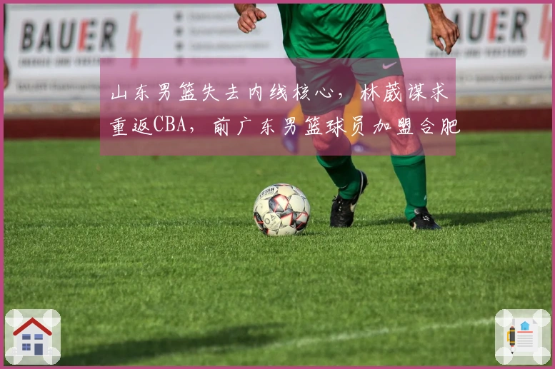 山东男篮失去内线核心，林葳谋求重返CBA，前广东男篮球员加盟合肥狂风